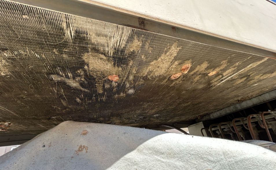 Deep Chemical Wash in Palm Desert 2
