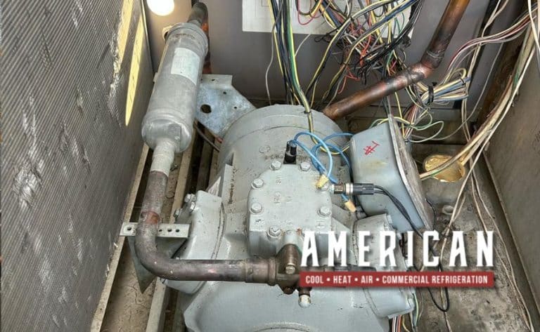 Complete Compressor Filter Drier Replacement At Hyatt Indian Wells