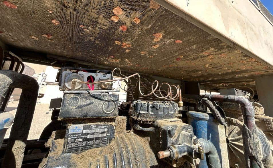 Deep Chemical Wash In Palm Desert